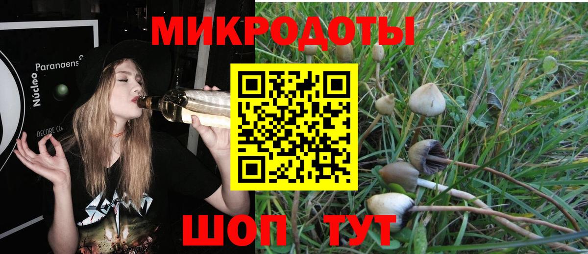 Луга  Галлюциногенные грибы мухоморы  Вход с VPN 