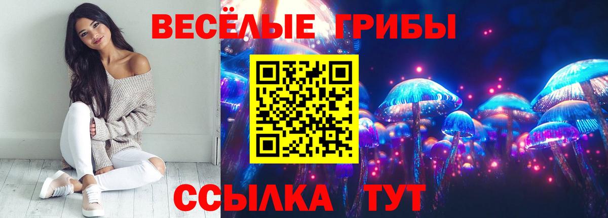 Псилоцибиновые грибы GOLDEN TEACHER Луга